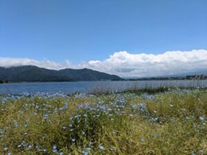 大石公園からの山中湖